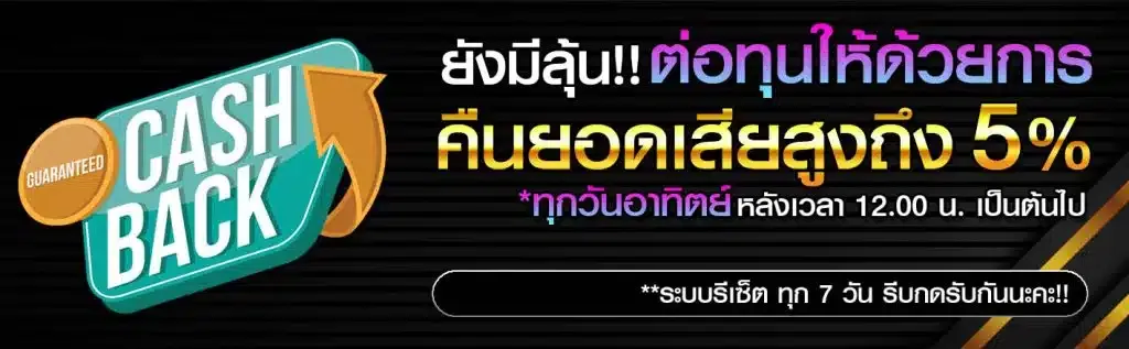 Molly555 เครดิตฟรี